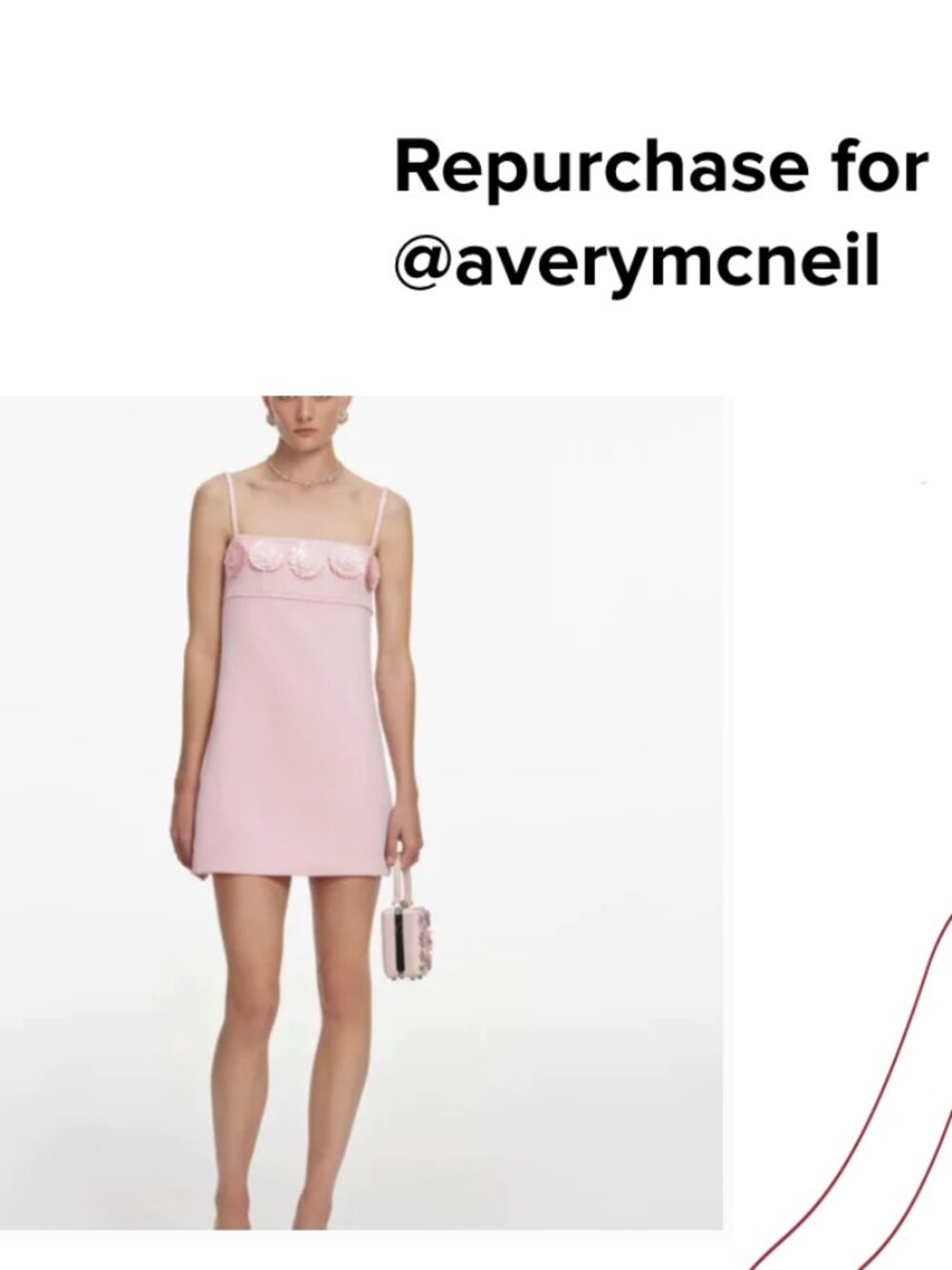 Repurchase for @ averymcneil for Order# 69c3c5103b06e578bf7a4c7a